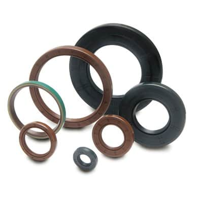 NBR/ Viton Oil Seal