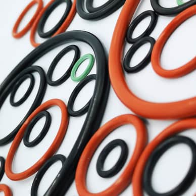 PTFE Encapsulated O-rings